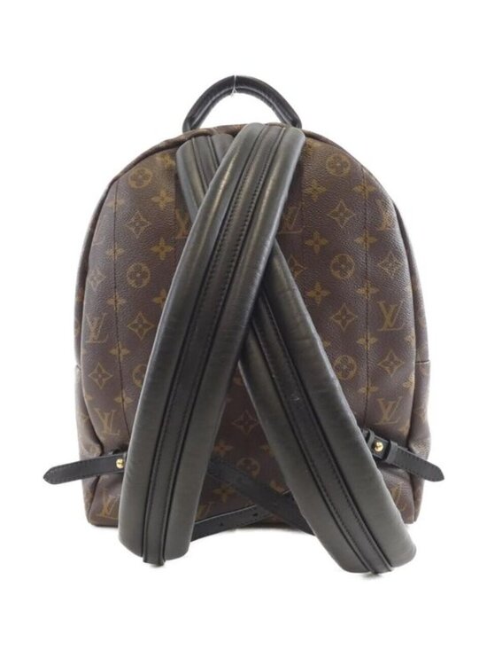 Louis Vuitton Monogram Palm Spring Su Backpack